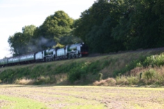Watercress Railway - Bighton Lane - Schools Class V - 925 Cheltenham & 850 Lord Nelson
