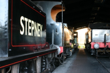Bluebell Railway - Sheffield Park - Terrier A1X class 55 Stepney, LSWR B4 96 Normandy & 9017 Earl of Berkeley