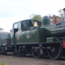 2015 - Severn Valley Railway Bridgnorth - Ex-GWR 14xx 1450